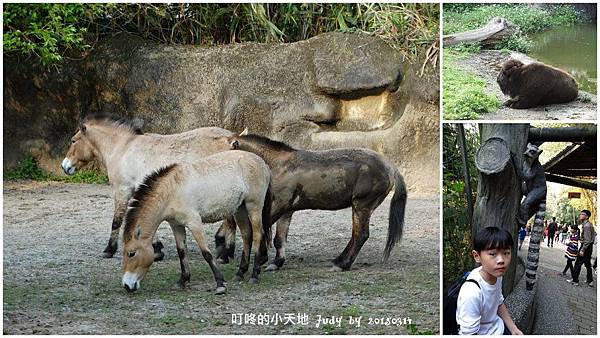 20150314-貓空動物園%26;萬華澎皮麵45.jpg