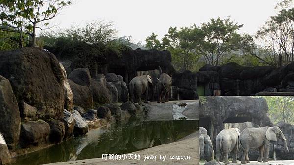 20150314-貓空動物園%26;萬華澎皮麵46.jpg