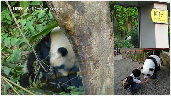 20150314-貓空動物園%26;萬華澎皮麵51.jpg