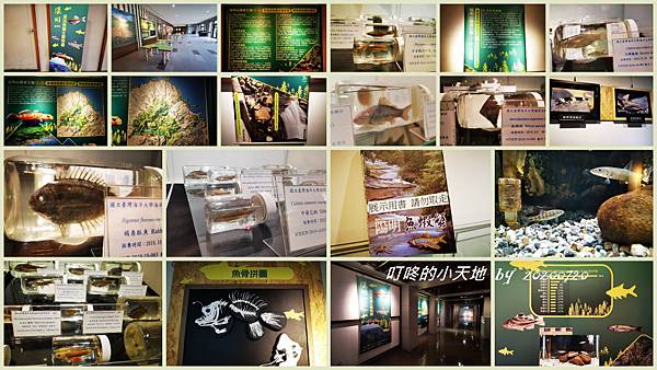 20200720-陽明山溪流魚類生態特展.jpg