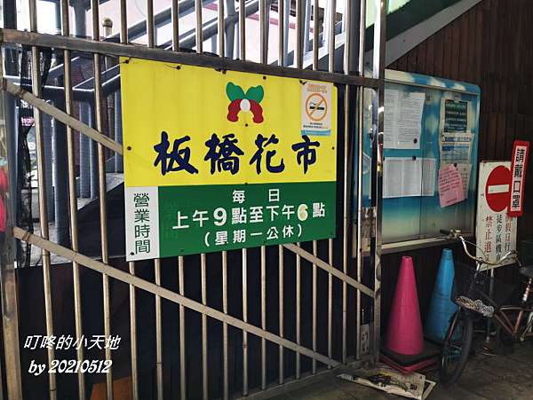新北板橋 板橋花市 小品盆栽 蘭花單品 開運竹 草花 乾燥花 花器及園藝資材 應有盡有 110 05 12 叮咚的小天地 痞客邦