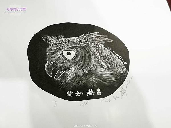 【新莊文藝中心】秘境之森-貓頭鷹特展(3樓多功能室-第18回