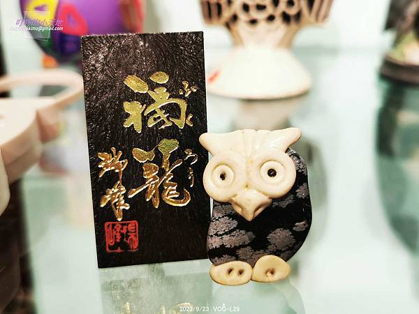 【新莊文藝中心】秘境之森-貓頭鷹特展(3樓多功能室-第22回