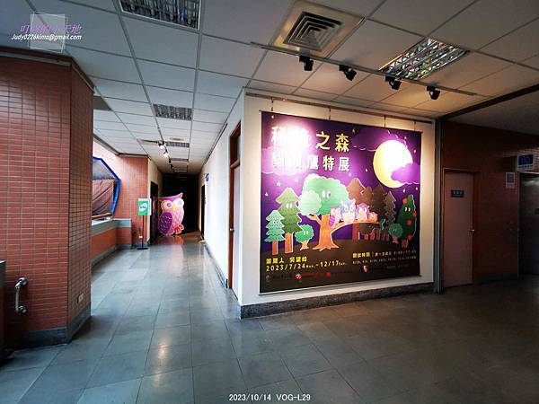 【新莊文藝中心】秘境之森-貓頭鷹特展(3樓多功能室-第27回