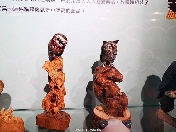 【新莊文藝中心】秘境之森-貓頭鷹特展(3樓多功能室-第31回