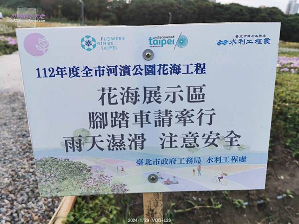 【台北中正】古亭河濱公園 花海(大地當畫布,繽紛草花為彩筆~