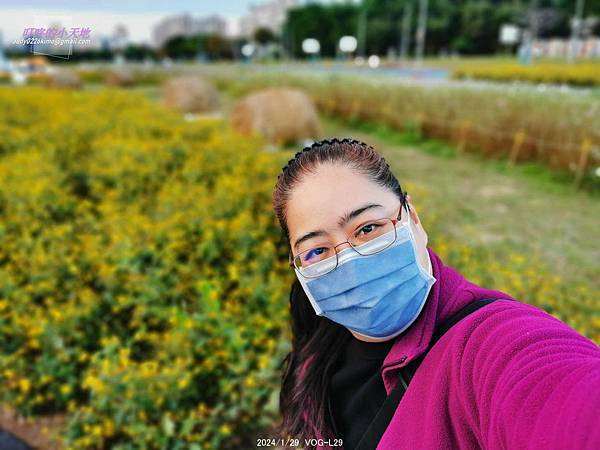 【台北中正】古亭河濱公園 花海(大地當畫布,繽紛草花為彩筆~