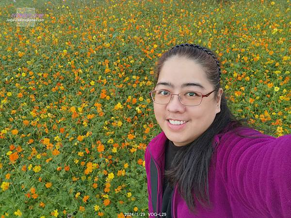 【台北中正】古亭河濱公園 花海(大地當畫布,繽紛草花為彩筆~