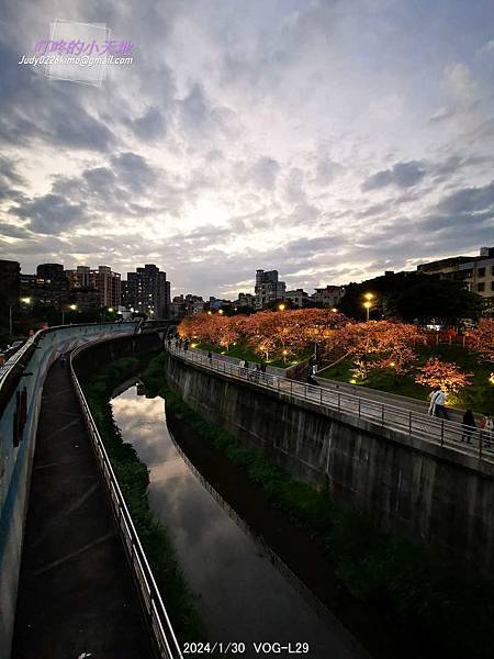 【台北內湖】2024樂活夜櫻季-內湖樂活公園(夜櫻季己步入第