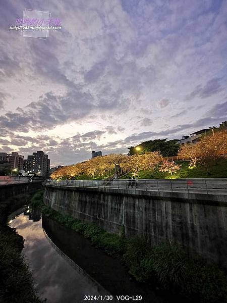 【台北內湖】2024樂活夜櫻季-內湖樂活公園(夜櫻季己步入第