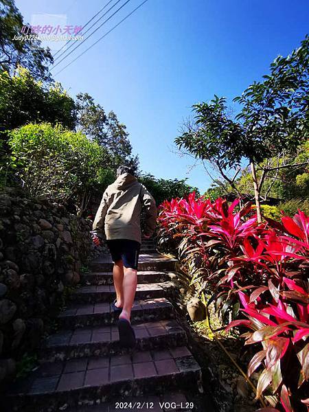 【113年甲辰龍年】初三-頂泰山巖 迎春過平安橋,博祥福發財