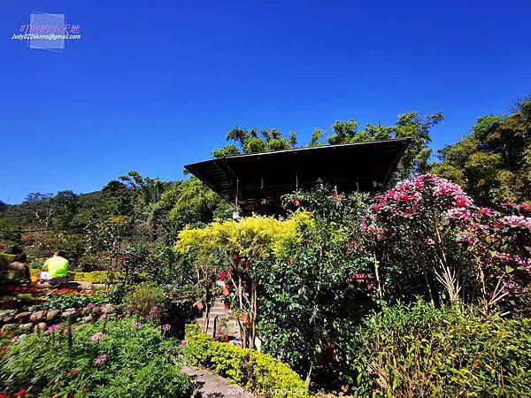 【113年甲辰龍年】初三-頂泰山巖 迎春過平安橋,博祥福發財