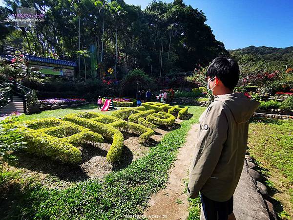 【113年甲辰龍年】初三-頂泰山巖 迎春過平安橋,博祥福發財