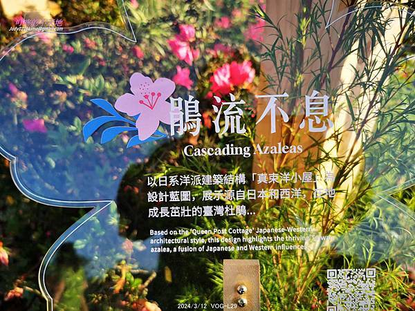 【台北大安】2024台北杜鵑花季&繡球花季-大安森林公園(4