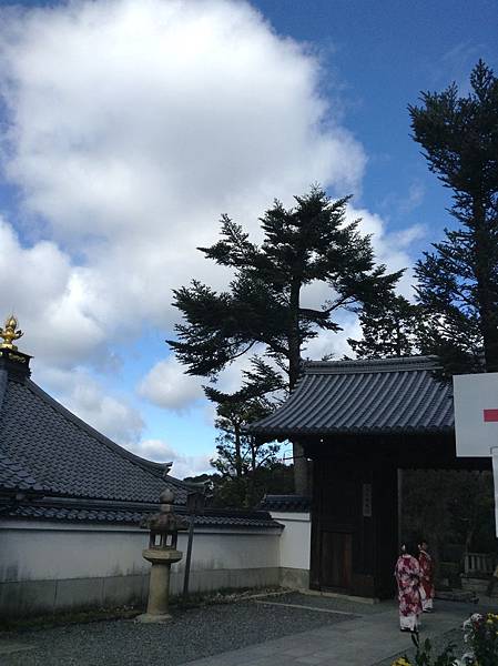 天空16.jpeg 天空16.jpeg