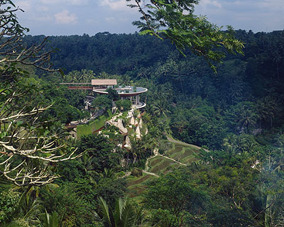 Lush , terraced rice slopes overlook the sacred Ayung Valley