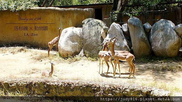 洛杉磯景點 洛杉磯動物園los Angeles Zoo 在地遛小孩景點 Nurse Judy美國日記 痞客邦 洛杉磯景點 洛杉磯動物園los Angeles Zoo 在地遛小孩景點 Nurse Judy美國日記 痞客邦