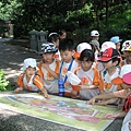 P7220652.JPG