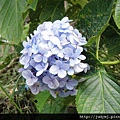 DSC00381.JPG