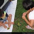 DSC00398.JPG