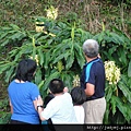 DSC00406.JPG