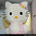 DSC00855.JPG