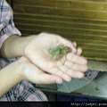 DSC01690.JPG
