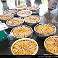 DSC02208.JPG