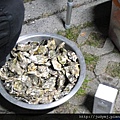 DSC00340.JPG