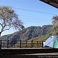 DSC00375.JPG