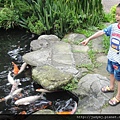 DSC01467.JPG