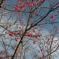 P_20181229_140523.jpg