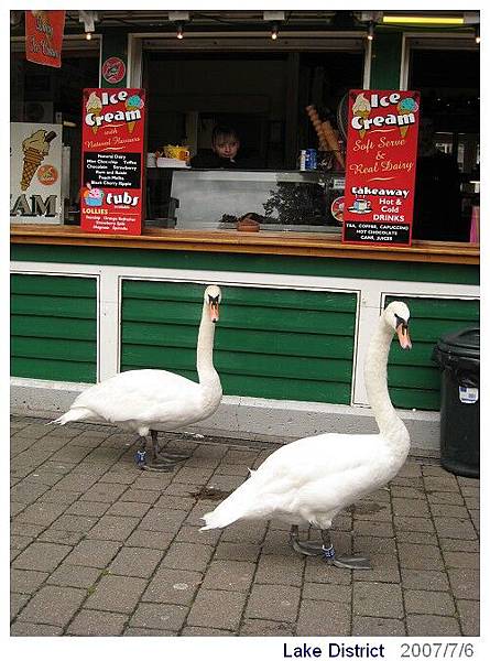 20070706 小姐  飼料來一包  謝謝