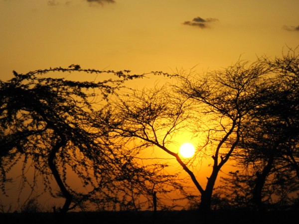 IMG_1142沙漠裡的夕陽.jpg