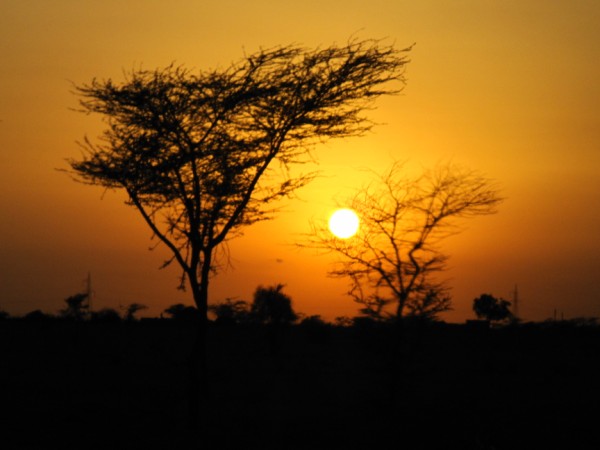 IMG_1150沙漠裡的夕陽.jpg