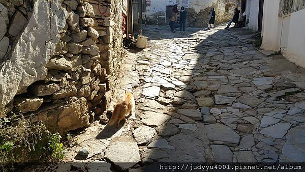 20160109_115341.jpg 20160109_115341.jpg
