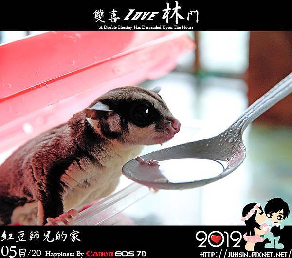 紅豆師兄的家