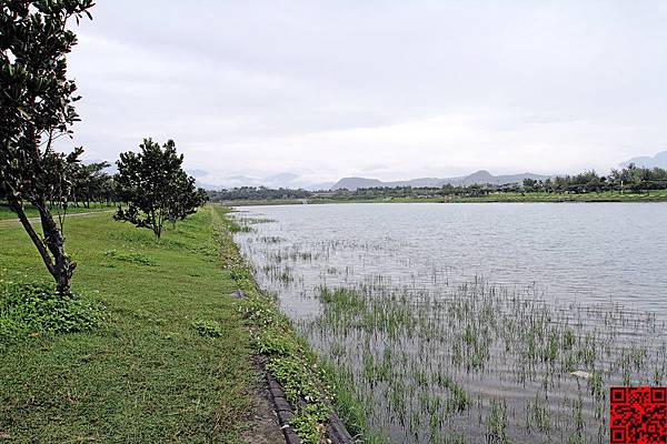 台東森林公園