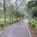 台東森林公園