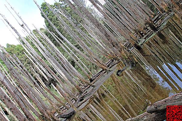 13年01月12日 忘憂森林 Hfcl Album 痞客邦