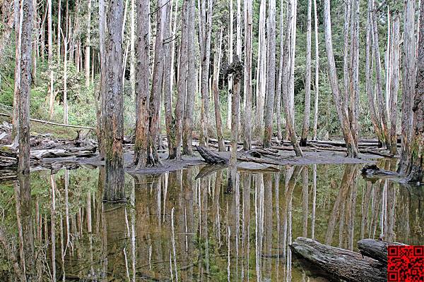 13年01月12日 忘憂森林 Hfcl Album 痞客邦