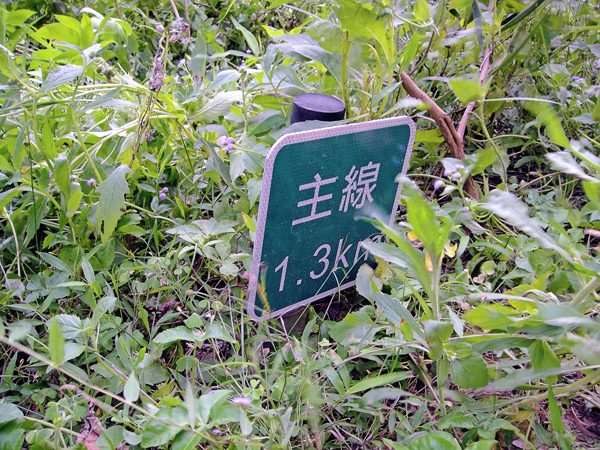 鳳崎落日登山步道