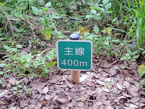 鳳崎落日登山步道