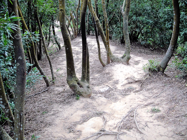 鳳崎落日登山步道