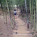 竹山天梯