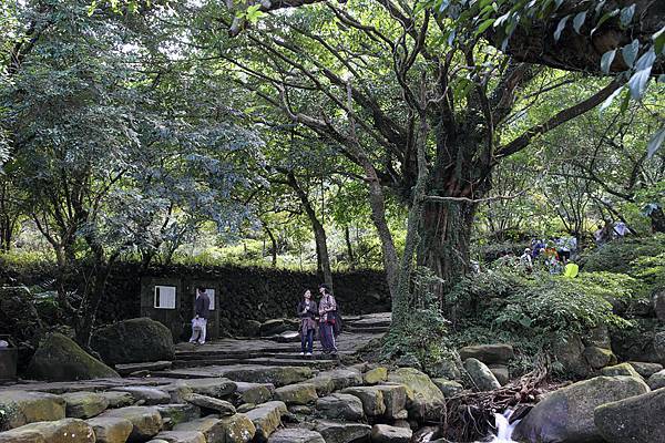 草嶺古道