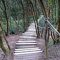 鳳崎落日登山步道