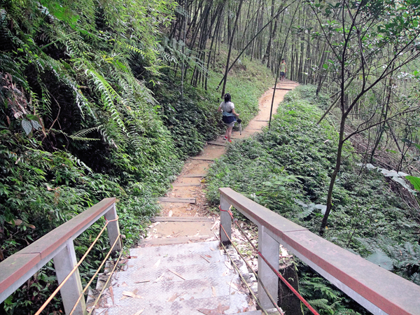 竹山天梯