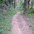 鳳崎落日登山步道