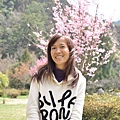 複製 -DSC_0314.JPG